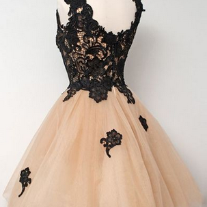Charming Prom Dress,tulle Homecoming Dress,lace..