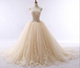A Line Open Back Champagne Tulle Appliques Prom Dresses LBQ0902