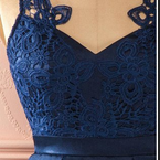 Royal Blue Vintage Lace See Through Homecoming..