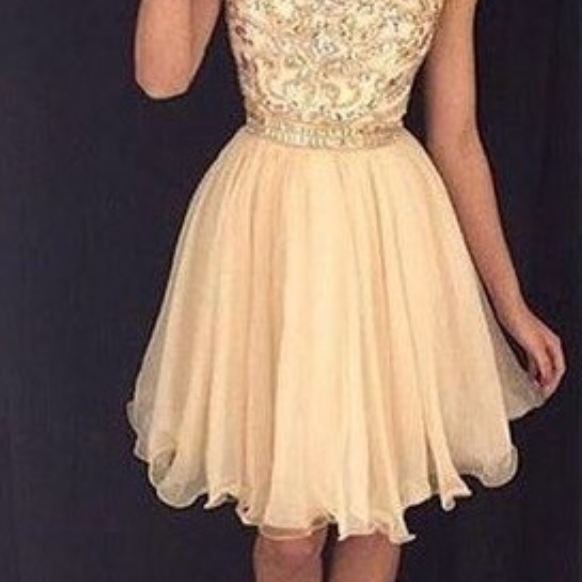 Champagne Homecoming Dress, Short Summer Prom Party Dress, Charming ...